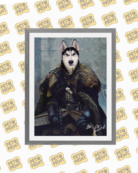 Cuadro Enmarcado -  GOT - Jon Snow