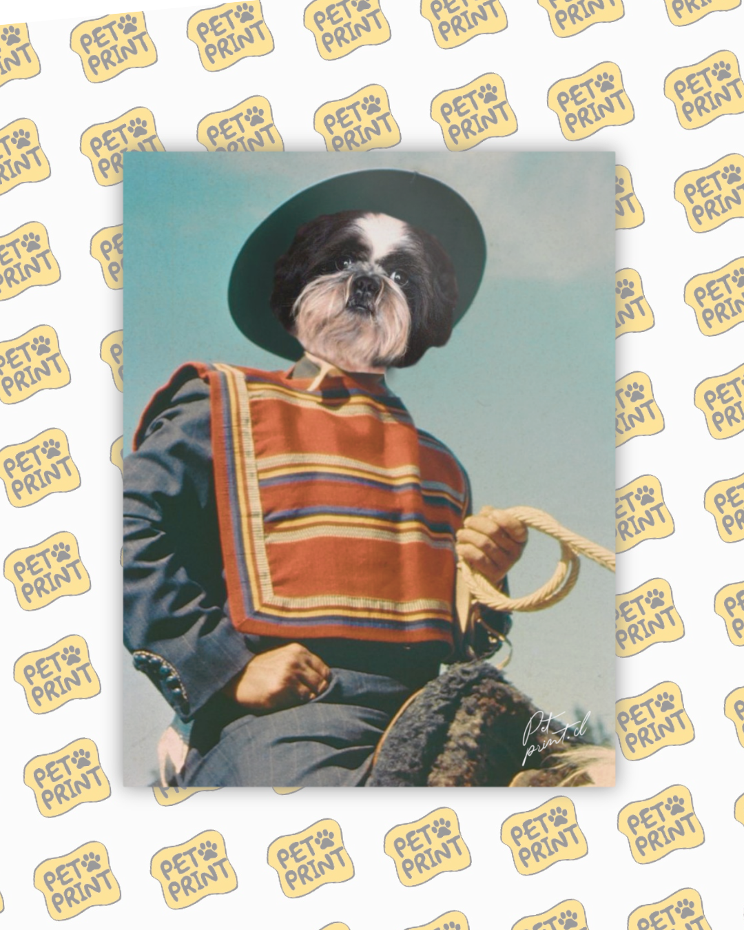 Cuadro Canvas - Huaso