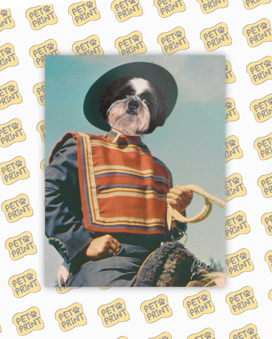 Cuadro Canvas - Huaso