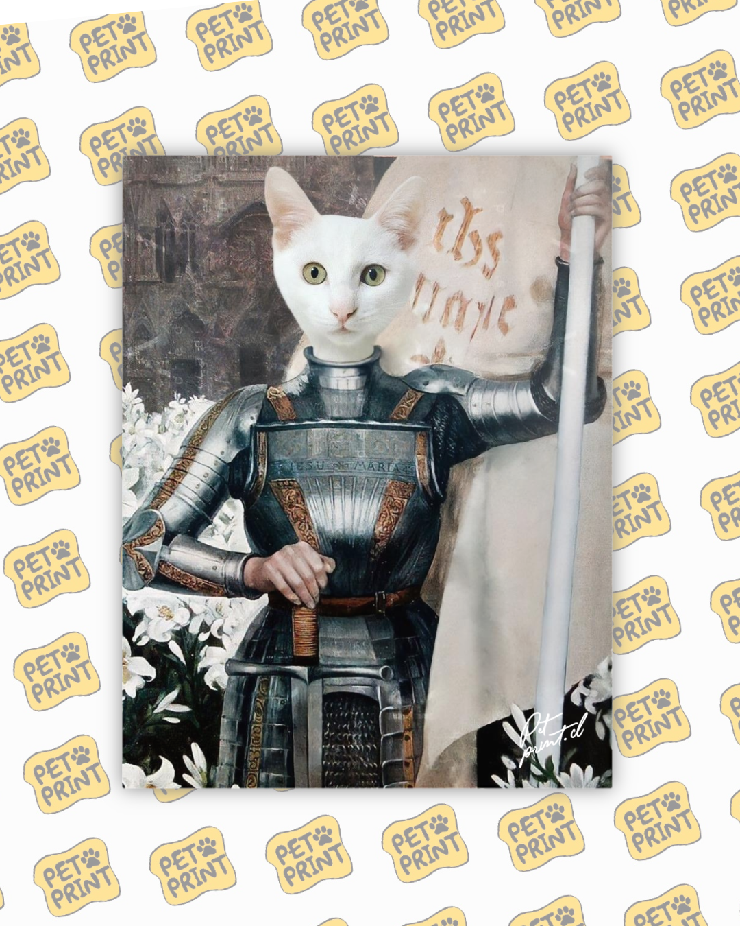 Cuadro Canvas - Juana De Arco