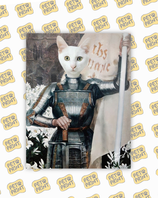 Cuadro Canvas - Juana De Arco