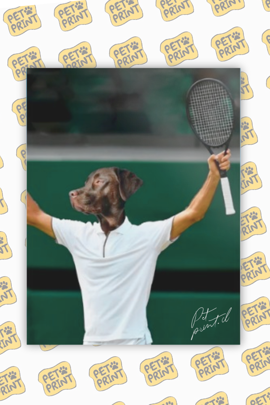 Cuadro Canvas - Jugador de tenis