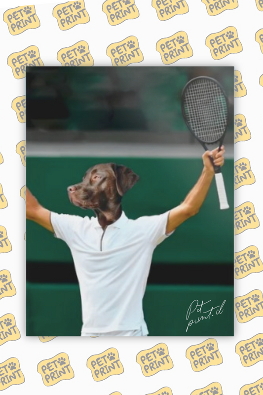 Cuadro Canvas - Jugador de tenis