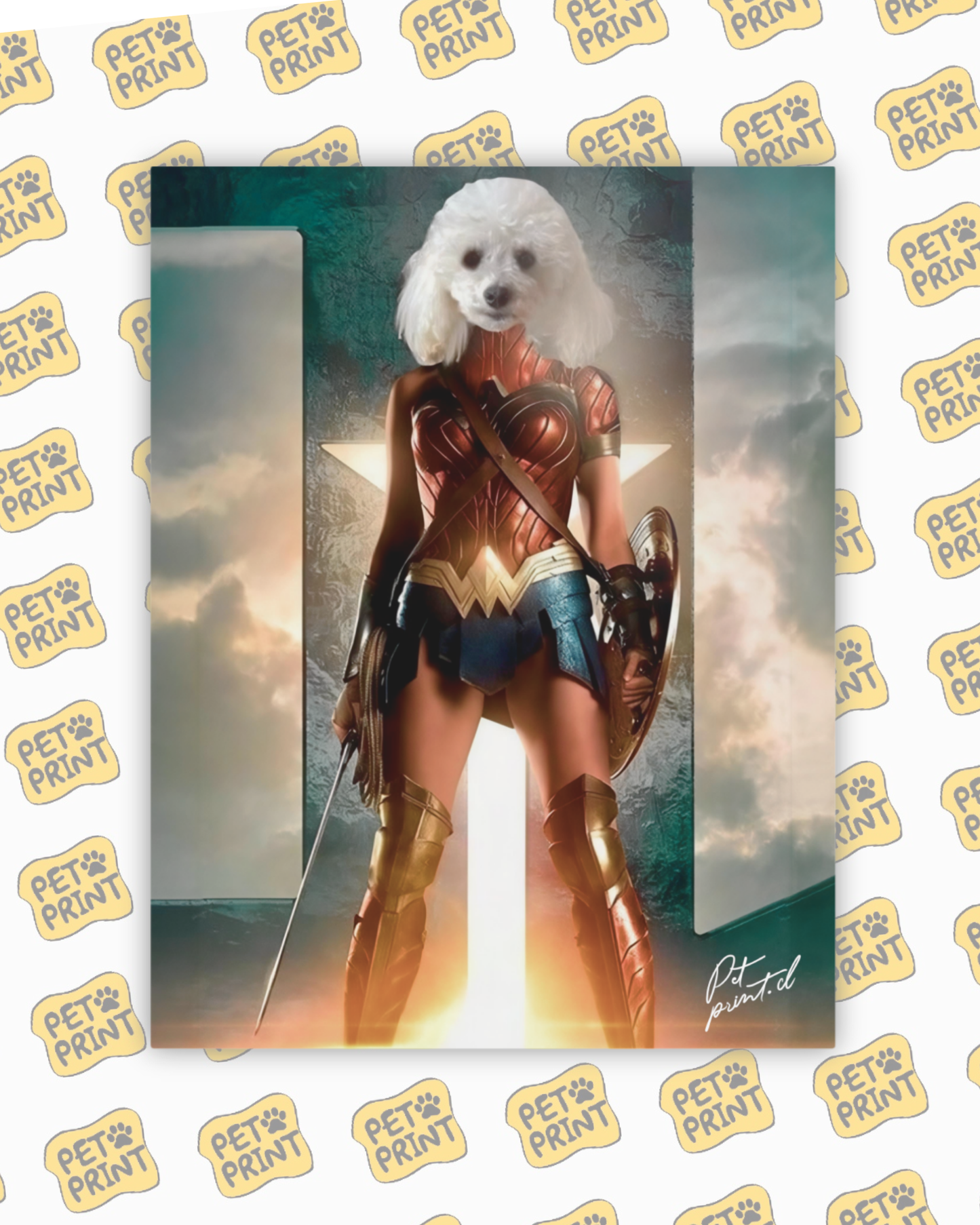 Cuadro Canvas - La Mujer Maravilla