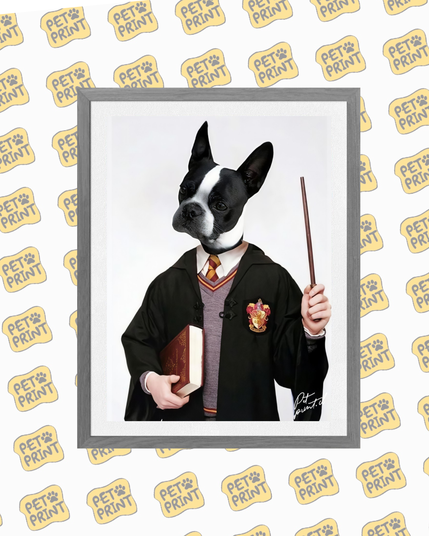 Cuadro Enmarcado -  Mascota Gryffindor