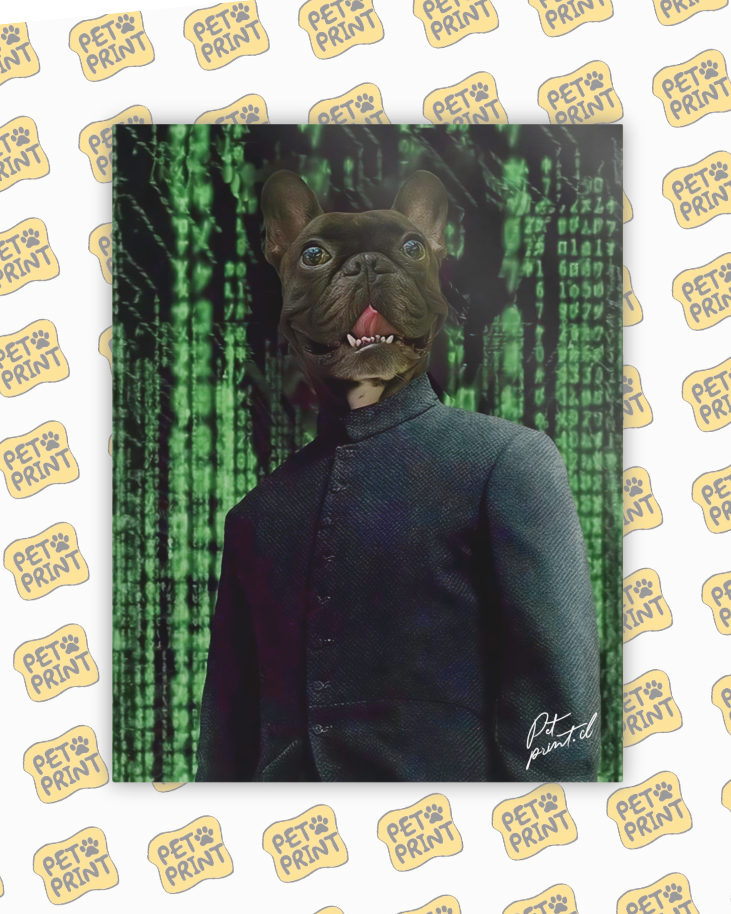 Cuadro Canvas - Matrix