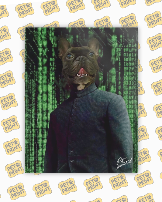 Cuadro Canvas - Matrix