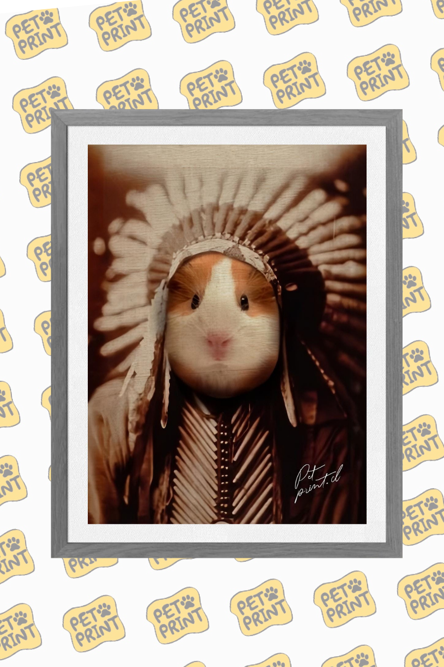 Cuadro Enmarcado - Nativo Americano