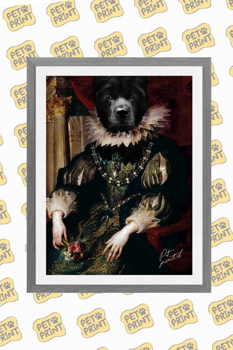 Cuadro Enmarcado - Reina de Francia