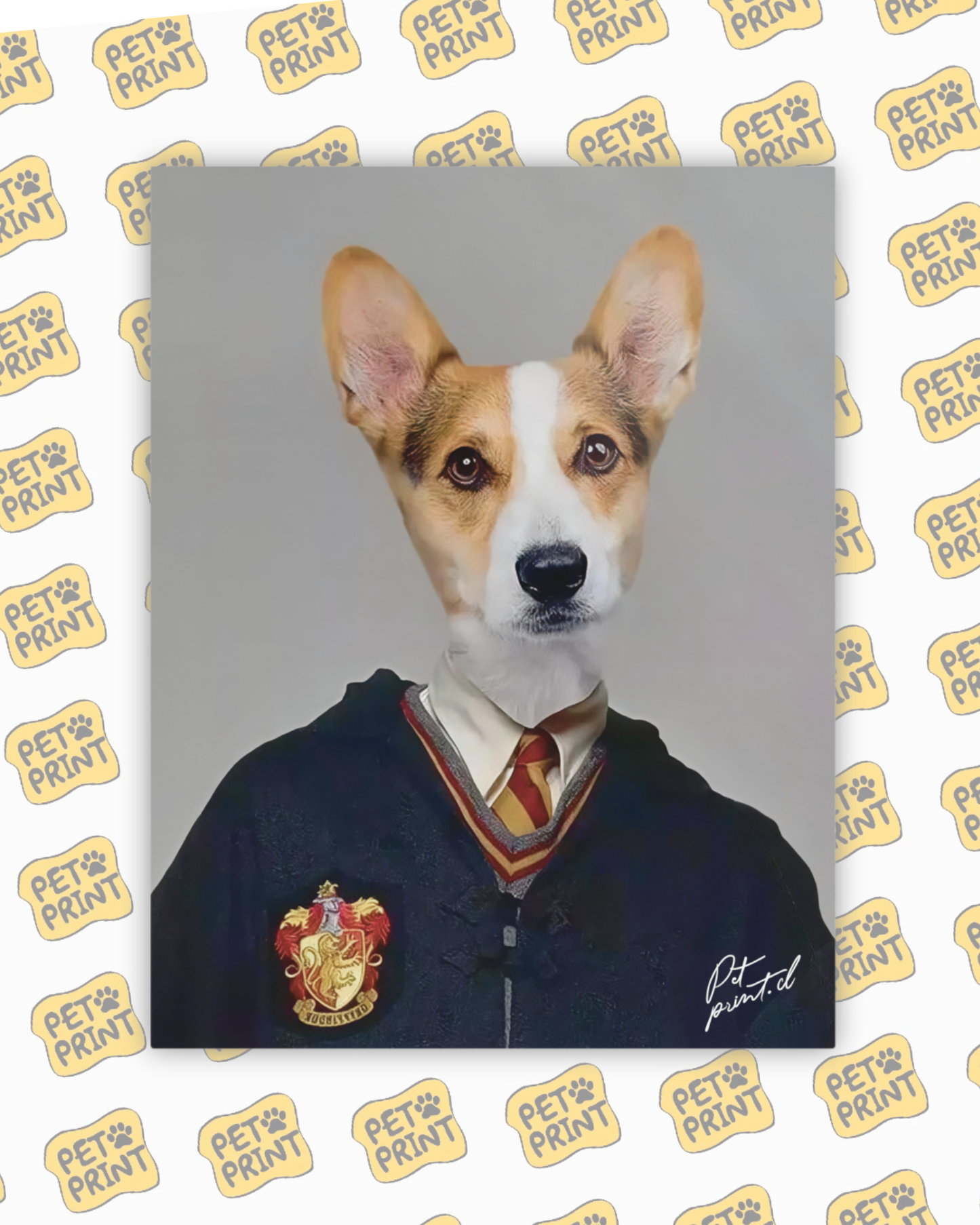 Cuadro Canvas - Ron Weasley