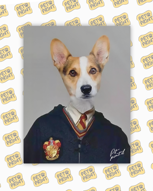 Cuadro Canvas - Ron Weasley