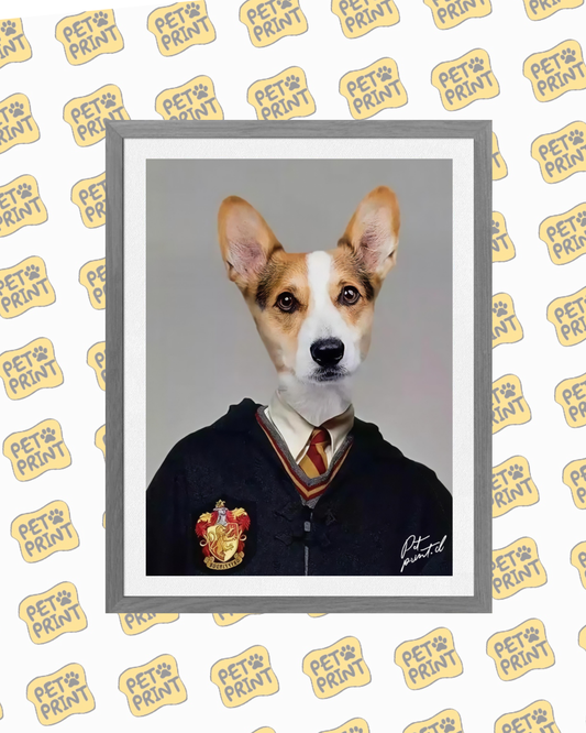 Cuadro Enmarcado - Ron Weasley