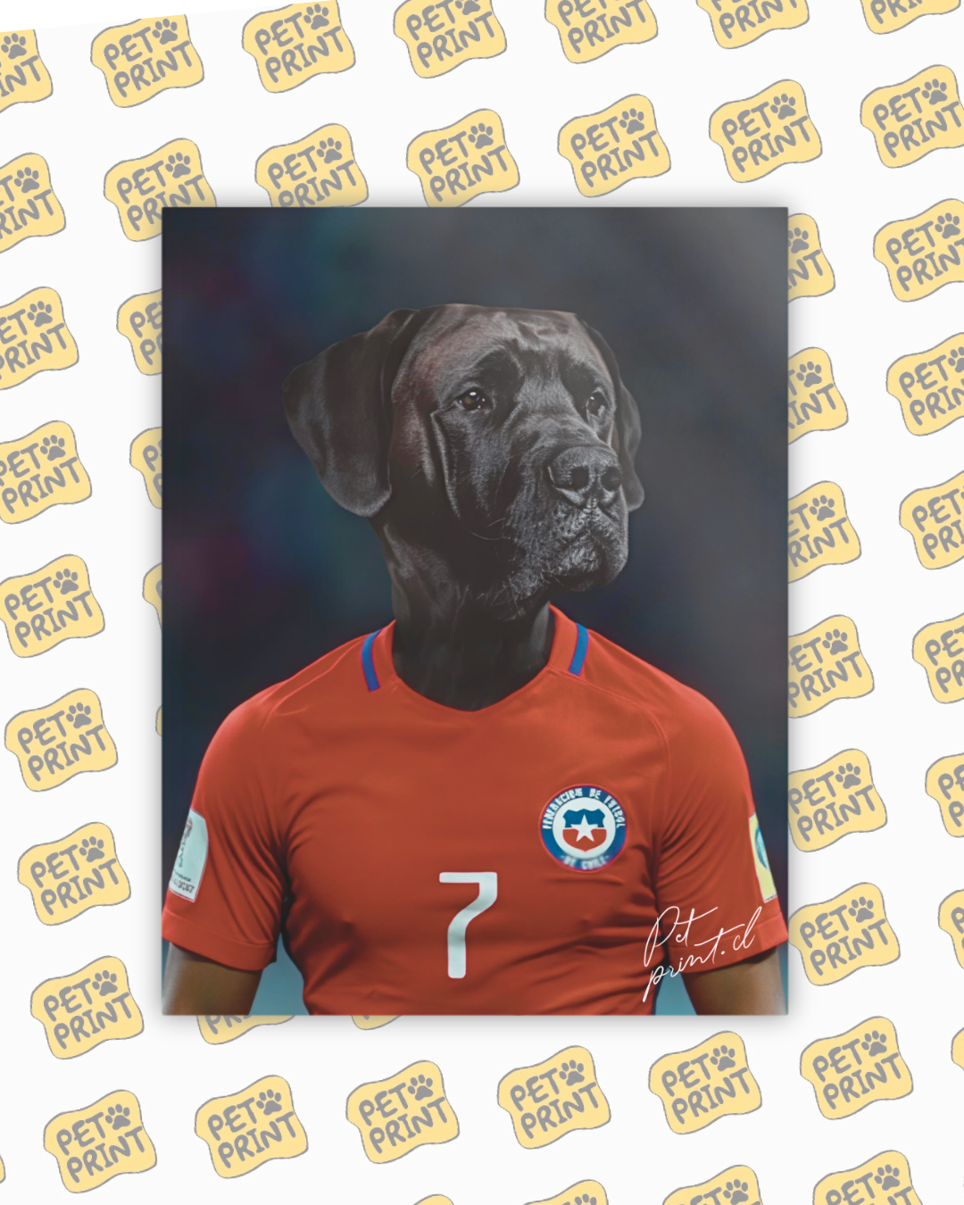 Cuadro Canvas - Selección Chilena