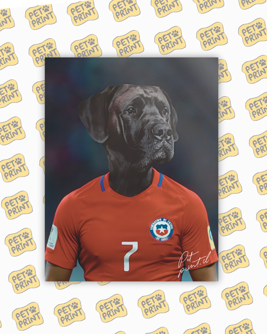 Cuadro Canvas - Selección Chilena