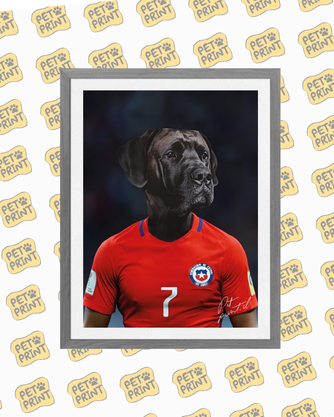 Cuadro Enmarcado - Selección Chilena