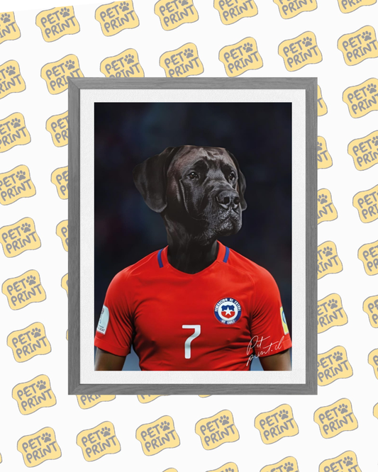 Cuadro Enmarcado - Selección Chilena