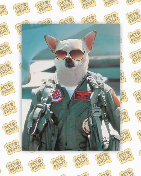 Cuadro Canvas - Top Gun