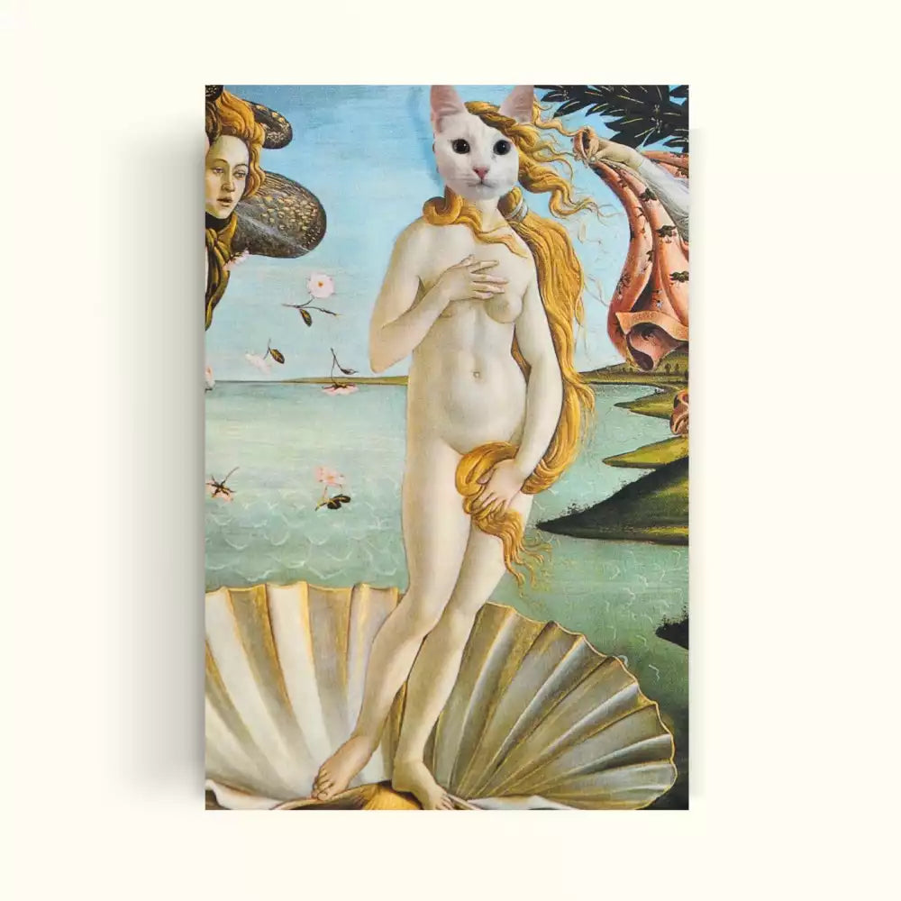 Cara de un gatito blanco simulando el cuadro El nacimiento de Venus