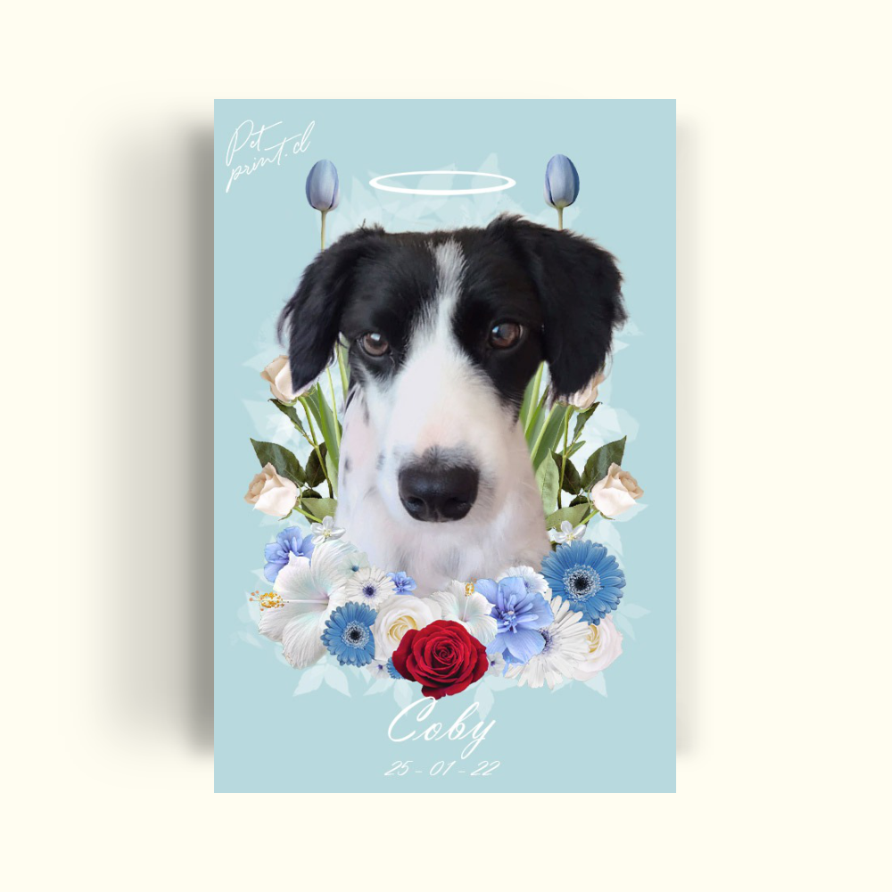 Little Angel - Blue Floral - PetPrint