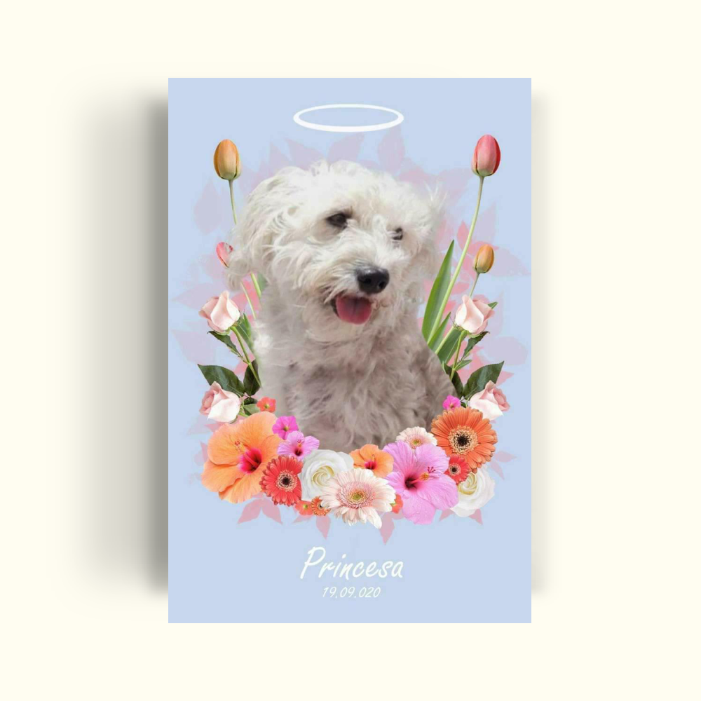 Angelito- Floral naranja - PetPrint