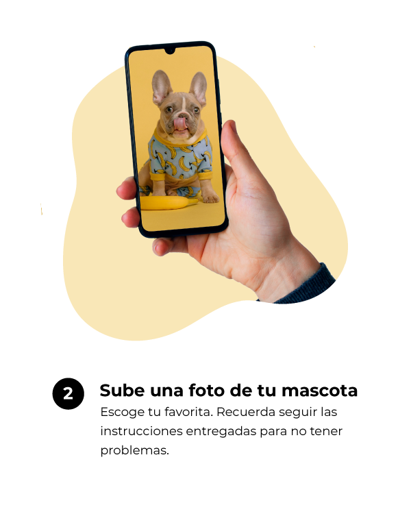 Mano sosteniendo el celular, y texto indicando subir la foto de la mascota
