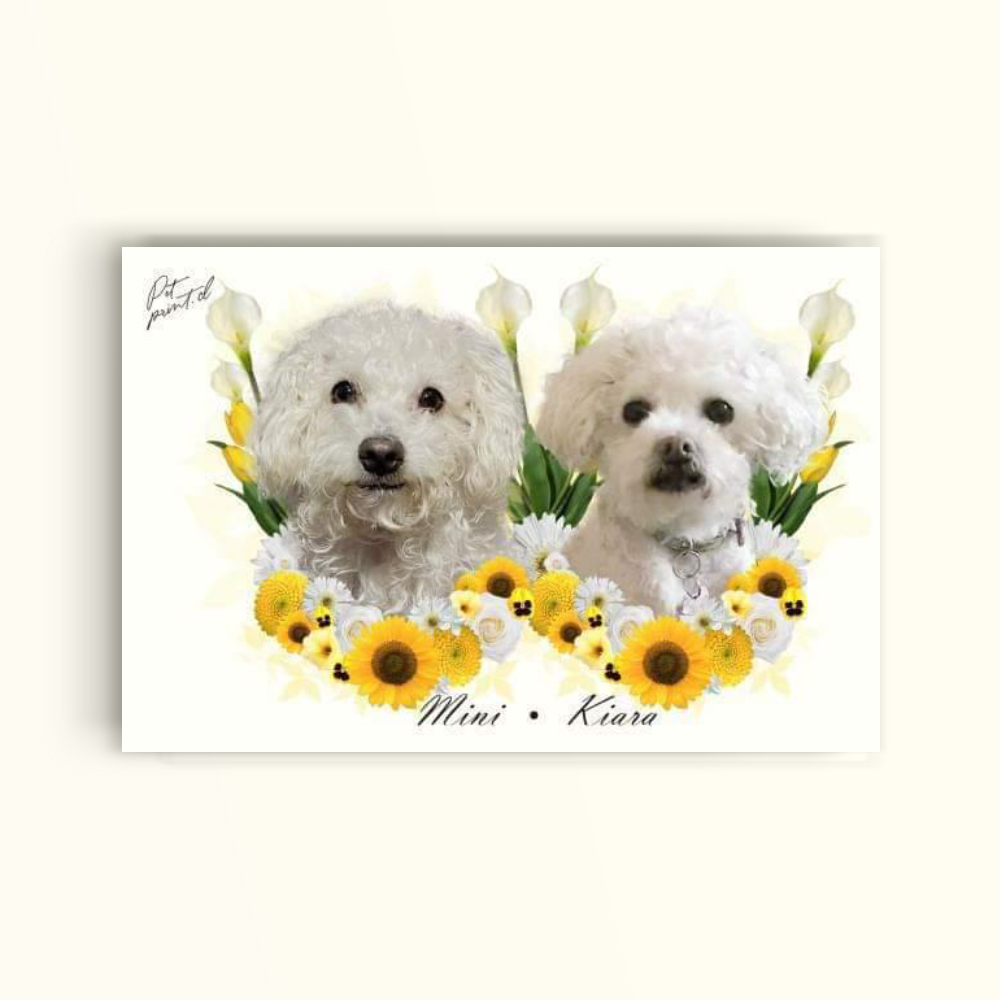 DUO- yellow toned flowers - PetPrint