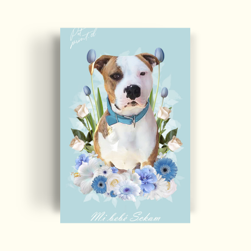 Floral- blue and white roses - PetPrint