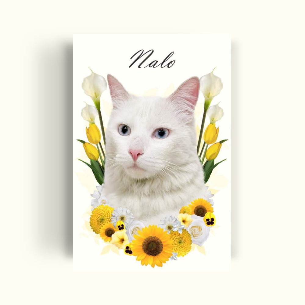Flowers- yellow tones - PetPrint