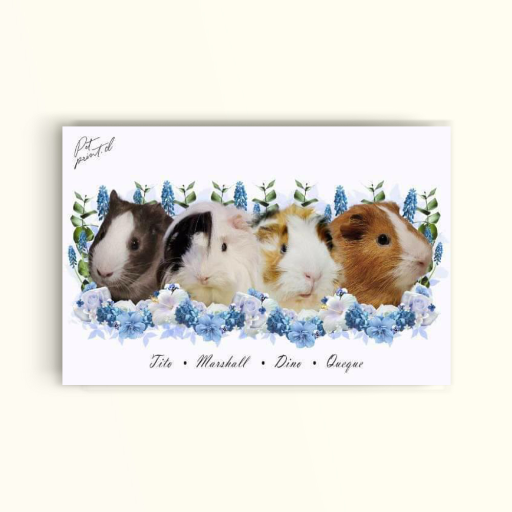 Cuadro enmarcado- Equipo floral en Celeste