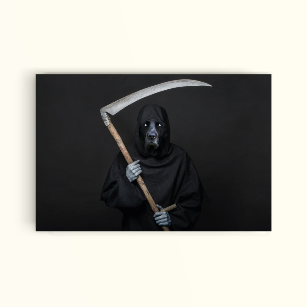 Death - PetPrint