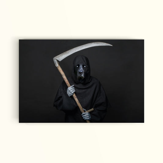 Death - PetPrint