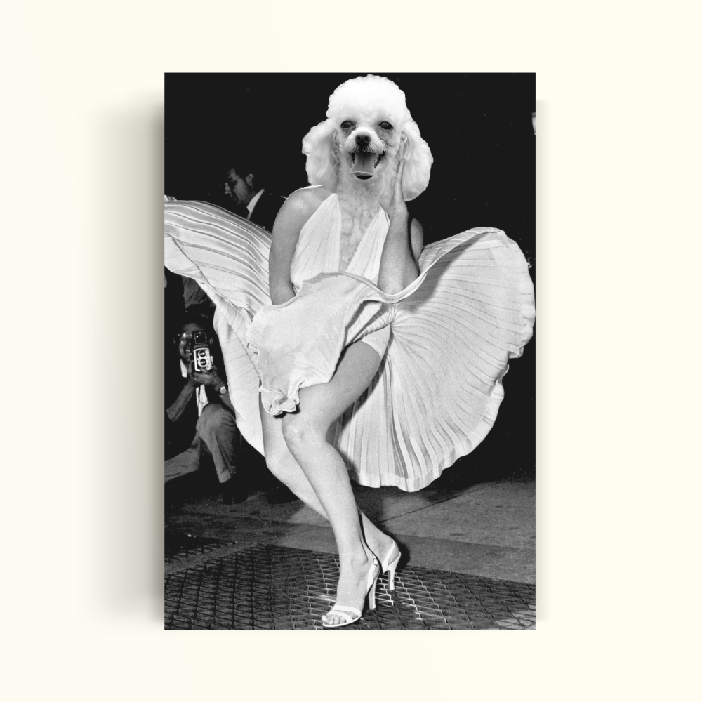 MARILYN MONROE - PetPrint