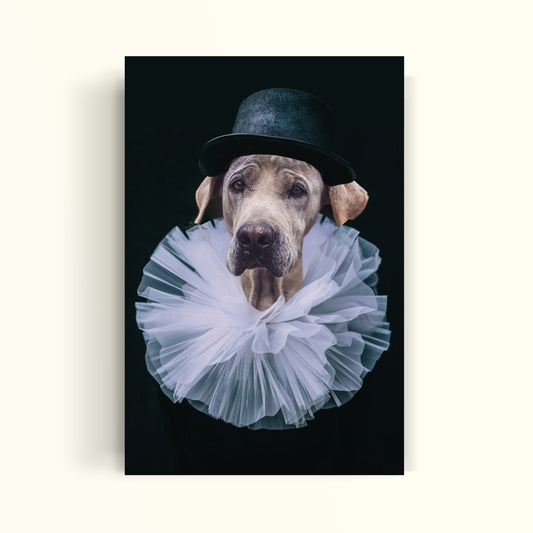 harlequin clown - PetPrint