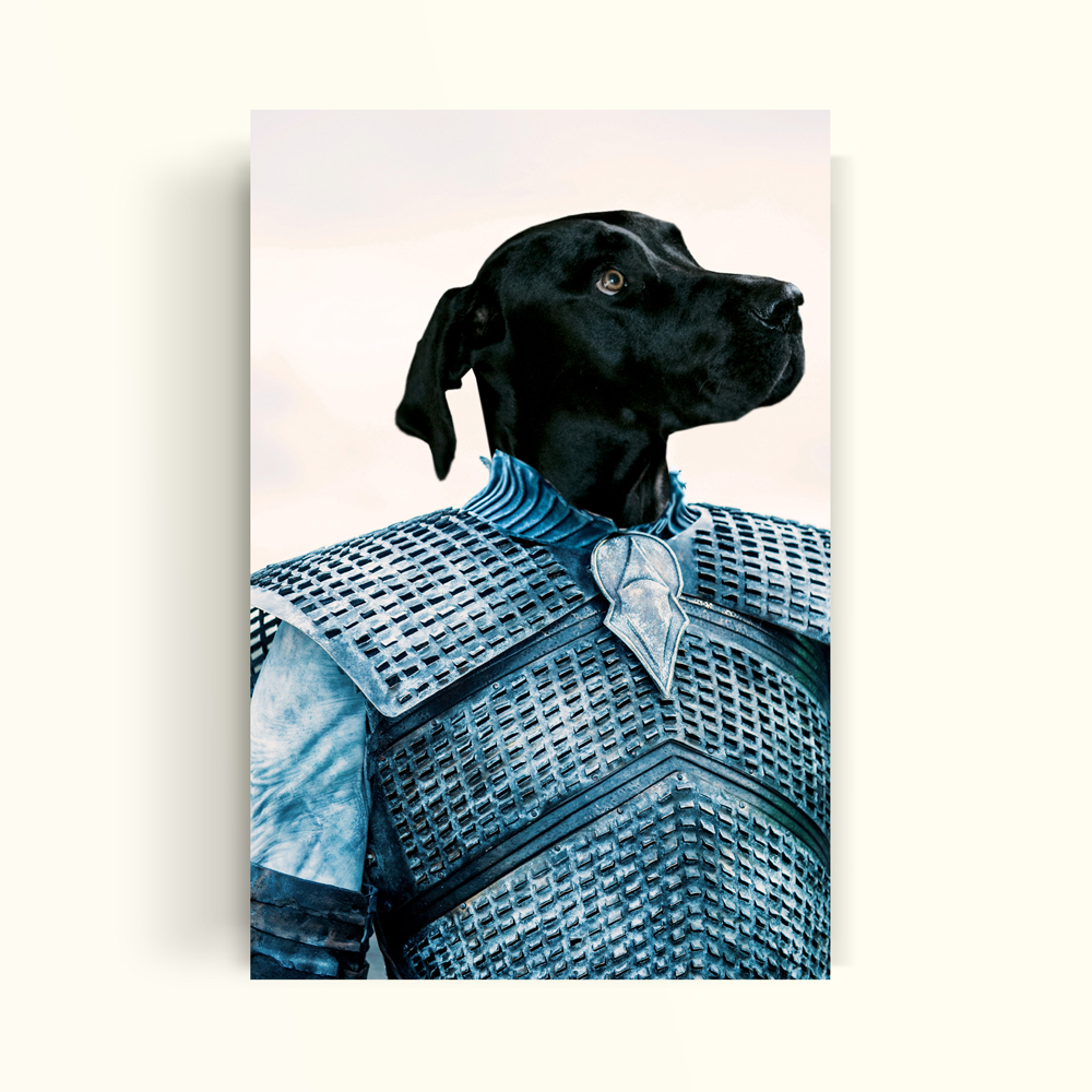 NIGHT KING - GAME OF THRONES - PetPrint