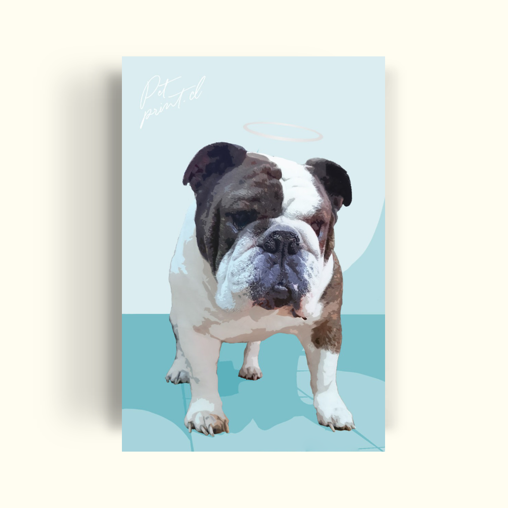Simple portrait - little angel - PetPrint