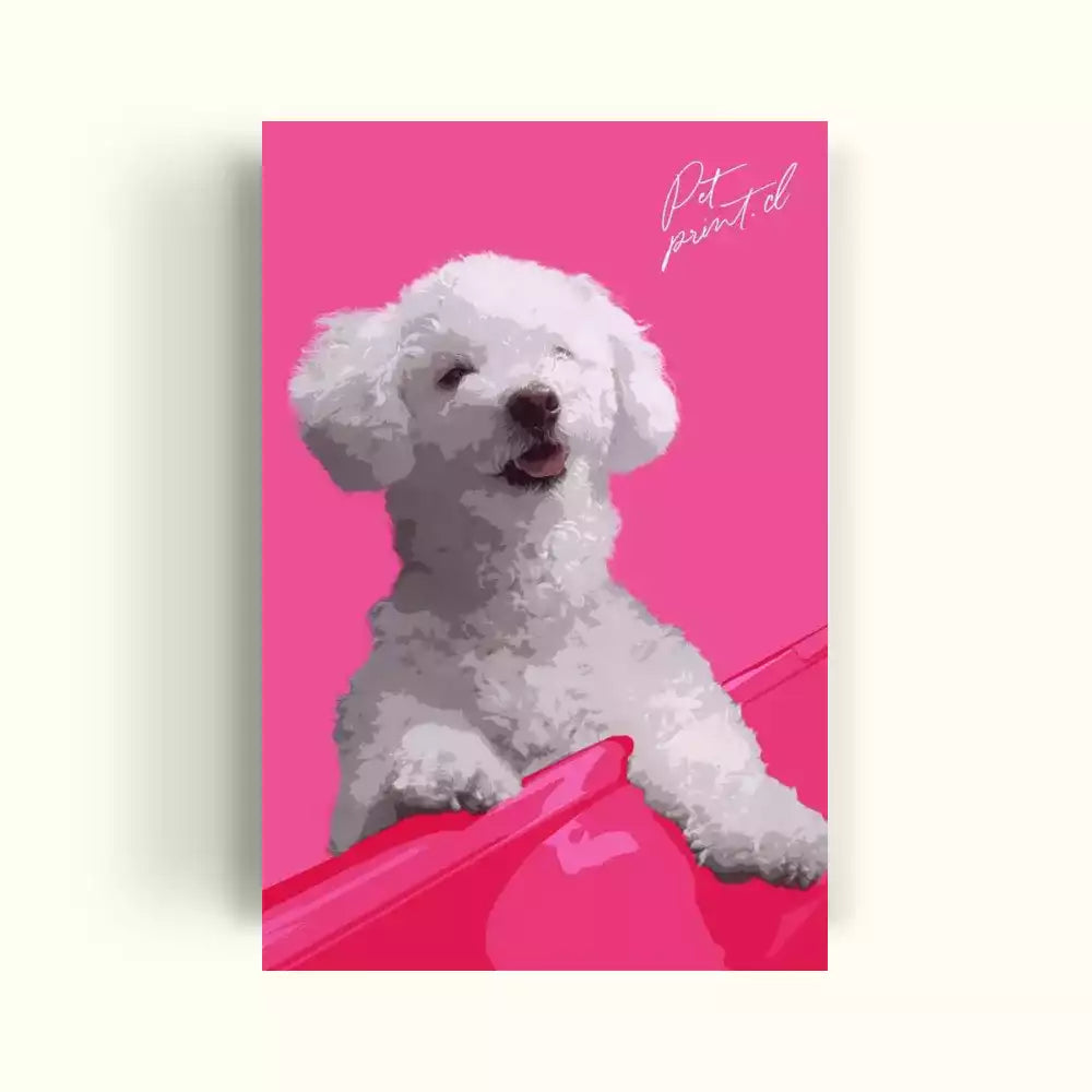 Retrato de un perrito blanco con un fondo rosado