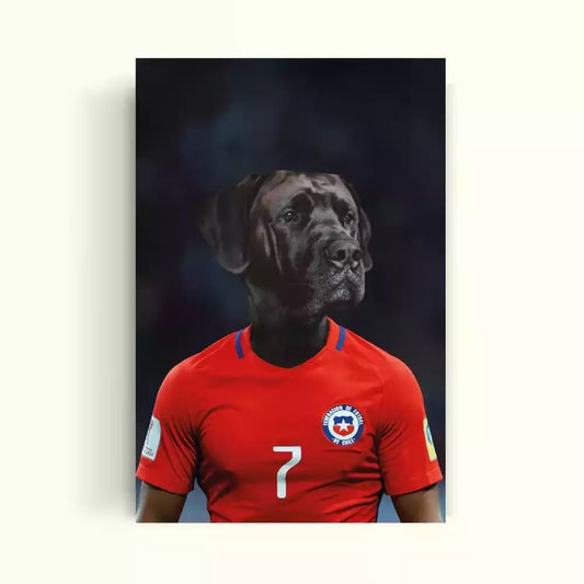 Perrito negro vestido con la camiseta de la seleccion chilena de futbol