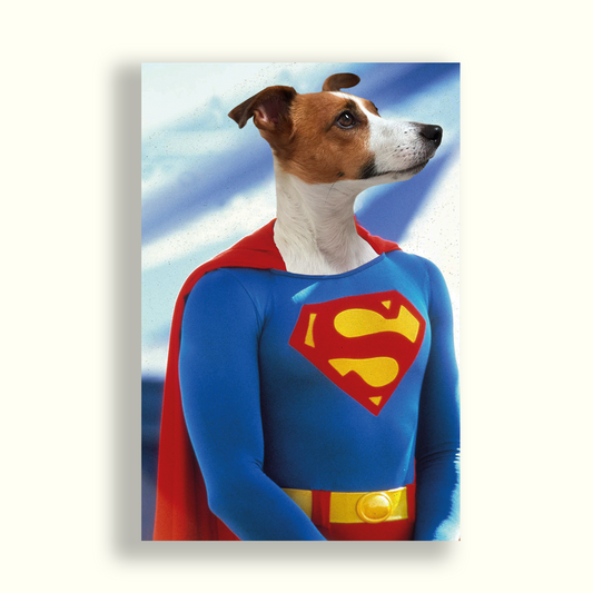 Perrito vestido como superman